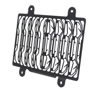 RP1060-2012 Motorcycle Radiator Grille Guard Protector Cover for BMW G310GS/G310R 2017-Later