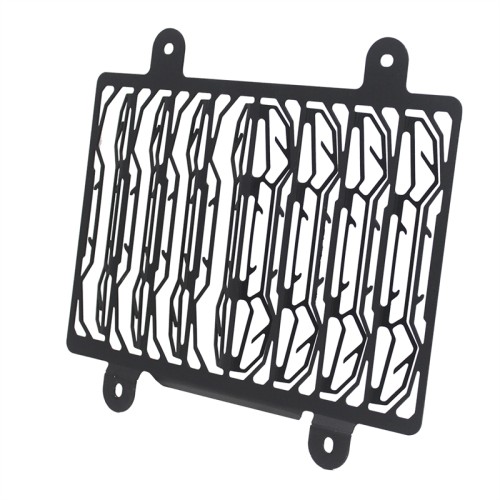 RP1060-2012 Motorcycle Radiator Grille Guard Protector Cover for BMW G310GS/G310R 2017-Later