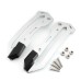 RP1080-1019 Skid Plate Side Strip Frame Guard Engine Decorate Protection Cover for BMW R18 R18 B Bagger R18 Classic 2021-Later