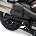 RP0440-2017B Motorcycle Rear Passenger Foot Pegs Bracket + Exhaust Heat Shield for Harley Sportster S RH1250S 2021-later