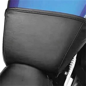 RP0920-7001B Motorcycle Gas Fuel Tank Bra Shield 4.5 Gallon for Harley Sportster XL 1200 Iron 883 2004-2022