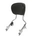 RP7771-2009 OEM Type Sissy Bar for Harley Touring Models 2009-Later