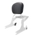 RP7771-2016 Quick Release Black Passenger Sissy Bar Backrest with docking for Harley Softail Fatboy FXST FXSTB FXSTS 2006-2017