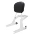 RP7771-2017 Quick Release Black Passenger Sissy Bar Backrest with docking for Harley Davidson Dyna models  2002-2005(Except FXDF FXDFSE FXDXT FXDWG)