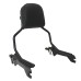 RP7771-2019 Holdfast Passenger Sissy Bar Quick Release Backrest for Harley Softail Fat Boy FLFB/S, Breakout FXBR/S Models 2018-Later