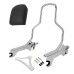 RP7771-2019 Holdfast Passenger Sissy Bar Quick Release Backrest for Harley Softail Fat Boy FLFB/S, Breakout FXBR/S Models 2018-Later