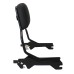 RP7771-2019 Holdfast Passenger Sissy Bar Quick Release Backrest for Harley Softail Fat Boy FLFB/S, Breakout FXBR/S Models 2018-Later