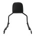 RP7771-2019 Holdfast Passenger Sissy Bar Quick Release Backrest for Harley Softail Fat Boy FLFB/S, Breakout FXBR/S Models 2018-Later