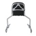RP7771-2019 Holdfast Passenger Sissy Bar Quick Release Backrest for Harley Softail Fat Boy FLFB/S, Breakout FXBR/S Models 2018-Later