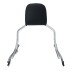 RP7771-2019 Holdfast Passenger Sissy Bar Quick Release Backrest for Harley Softail Fat Boy FLFB/S, Breakout FXBR/S Models 2018-Later