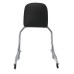 RP7771-2020 Holdfast Passenger Sissy Bar Quick Release Backrest for Harley Softail Deluxe FLDE,Heritage Classic FLHC/S,Slim FLSL,Street Bob FXBB/S,Standard FXST Models 2018-Later Harley Softail Hydra-Glide Revival FLI Models 2024-Later