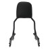 RP7771-2020 Holdfast Passenger Sissy Bar Quick Release Backrest for Harley Softail Deluxe FLDE,Heritage Classic FLHC/S,Slim FLSL,Street Bob FXBB/S,Standard FXST Models 2018-Later Harley Softail Hydra-Glide Revival FLI Models 2024-Later