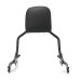 RP7771-2021 Holdfast Passenger Sissy Bar Quick Release Backrest for Harley Softail Fat Bob 114 FXFB/S Models 2018-Later