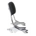RP7771-2021 Holdfast Passenger Sissy Bar Quick Release Backrest for Harley Softail Fat Bob 114 FXFB/S Models 2018-Later