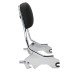 RP7771-2022 Holdfast Passenger Sissy Bar Quick Release Backrest for Harley Softail Sport Glide FLSB,Low Rider FXLR,Low Rider S FXLRS,Low Rider ST FXLRST and Low Rider El Diablo FXRST Model 2018-Later