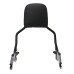 RP7771-2022 Holdfast Passenger Sissy Bar Quick Release Backrest for Harley Softail Sport Glide FLSB,Low Rider FXLR,Low Rider S FXLRS,Low Rider ST FXLRST and Low Rider El Diablo FXRST Model 2018-Later
