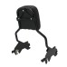 RP7771-2022 Holdfast Passenger Sissy Bar Quick Release Backrest for Harley Softail Sport Glide FLSB,Low Rider FXLR,Low Rider S FXLRS,Low Rider ST FXLRST and Low Rider El Diablo FXRST Model 2018-Later
