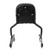 RP7771-2022 Holdfast Passenger Sissy Bar Quick Release Backrest for Harley Softail Sport Glide FLSB,Low Rider FXLR,Low Rider S FXLRS,Low Rider ST FXLRST and Low Rider El Diablo FXRST Model 2018-Later