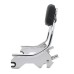 RP7771-2025 Holdfast Shorty 350MM Passenger Sissy Bar for Harley Softail Deluxe FLDE,Heritage Classic FLHC/S,Slim FLSL,Street Bob FXBB/S,Standard FXST Models 2018-Later Harley Softail Hydra-Glide Revival FLI Models 2024-Later