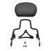 RP7771-2038 Shorty Sissy Bar Passenger Backrest HD 09up Touring Models for Harley Touring Models 2009-Later