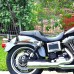 RP7771-2072 Long Chopper Sissy Bar Backrest with Pad For Harley Softail Fatboy FXST FXSTB FXSTS 2006-2017