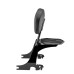 RP7771-3012 Motorcycle Sissy Bar Backrest with Luggage Rack for Harley Sportster XL Models 1994-2003