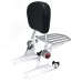 RP7771-3017 Adjustable Detachable Sissy Bar Passenger Backrest for Harley Davidson Dyna models  2002-2005(Except FXDF FXDFSE FXDXT and FXDWG)