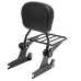 RP7771-3020 Adjustable Detachable Sissy Bar Passenger Backrest for Harley Dyna Models 2006-2017(except FLD, FXDF, FXDFSE and '10-'17 FXDWG)