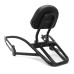 RP7771-3026B Backrest Sissybar with Luggage Rack for Harley Street 500 750 XG500 XG750 2015-Later