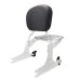 RP7771-3048 Detachable Sissy Bar Backrest with Luggage rack for Harley Softail FLSTF FLSTFB FLSTFBS FLSTSB FLSTSE FXSTC 2007-2017 Harley Softail FLSTFSE 2006
