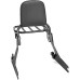 RP7771-3052 Detachable Sissy Bar Backrest with Luggage rack for Harley Davidson Dyna models  2002-2005(Except FXDF FXDFSE FXDXT and FXDWG)