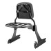 RP7771-3052 Detachable Sissy Bar Backrest with Luggage rack for Harley Davidson Dyna models  2002-2005(Except FXDF FXDFSE FXDXT and FXDWG)