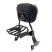 RP7771-3057 Detachable Sissy Bar Backrest with Luggage rack for Harley Sportster XL Models 2004-2022