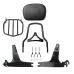 RP7771-3061 Detachable Sissy Bar Backrest with Luggage rack for Harley DYNA FXDF FXDWG 2010-2017  Harley DYNA FXDFSE Models 2010
