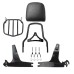 RP7771-3062 Detachable Sissy Bar Backrest with Luggage rack for Harley DYNA FXDF FXDWG 2010-2017  Harley DYNA FXDFSE Models 2010