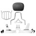 RP7771-3068 Detachable Sissy Bar Backrest with Luggage rack for Harley Softail Breakout FXSB FXSBSE 2013-2017 Harley Softail Breakout FXSE 2016-2017