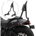 RP7771-2061 22" Tall Sharp Style Sissy Bar 1.3" Fat Passenger Backrest Bar Detachable Compatible For Harley Softail Fat Boy FLFB/S, Breakout FXBR/S Models 2018-Later