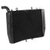 RP1060-1041B Motorcycle Aluminum Radiator Cooler for Honda CBR600RR 2007-Later