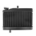 RP1060-1045B Motorcycle Aluminum Radiator Cooler for Honda Rebel CMX 250 300 2017-Later
Honda CL300 2023-Later