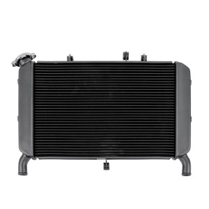 RP1060-1048B Motorcycle Aluminum Radiator Cooler for Yamaha MT-09/FZ-09 2017-2020