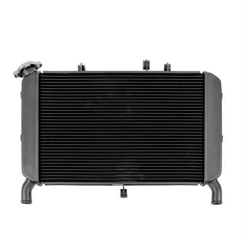 RP1060-1048B Motorcycle Aluminum Radiator Cooler for Yamaha MT-09/FZ-09 2017-2020