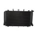 RP1060-1056B Motorcycle Aluminum Radiator Cooler for Kawasaki Z900RS 2018-Later