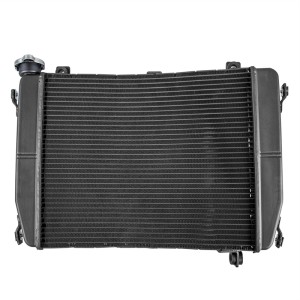 RP1060-1065B Motorcycle Aluminum Radiator Cooler For Aprilia RS 660 2020-up