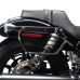 RP5516-1009B Throw-over Saddlebag Support for Harley