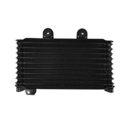 RP1060-1002B Radiator Cooler for Suzuki Bandit GSF600S/N 1994-2006