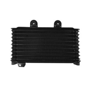 RP1060-1002B Radiator Cooler for Suzuki Bandit GSF600S/N 1994-2006
