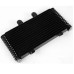 RP1060-1006B Radiator Cooler for Suzuki Bandit GSF1200 2001-2005