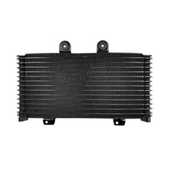 RP1060-1006B Radiator Cooler for Suzuki Bandit GSF1200 2001-2005