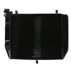 RP1060-1014B Radiator Cooler for Yamaha YZF R1 2000-2001