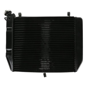 RP1060-1014B Radiator Cooler for Yamaha YZF R1 2000-2001